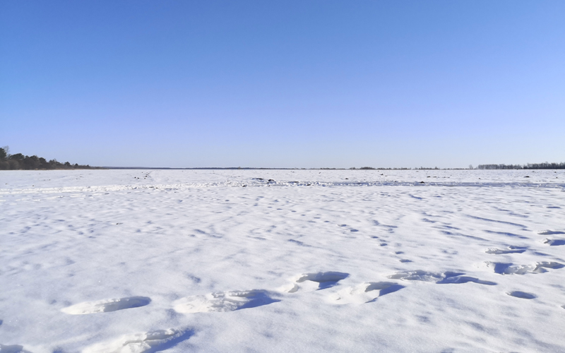 种大豆之前先耙地