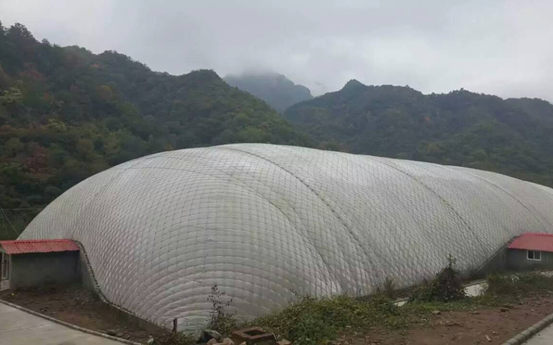食堂伙食美食